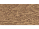 206 Дуб коньячный