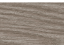 210 Дуб пепельный