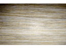 Дуб северный /Ламинированные
